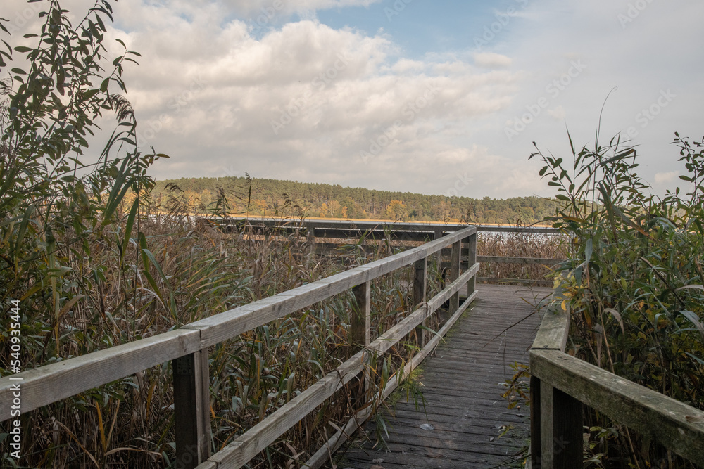 Fototapeta premium Aussichtsplattform am Feisnecksee bei Waren Müritz
