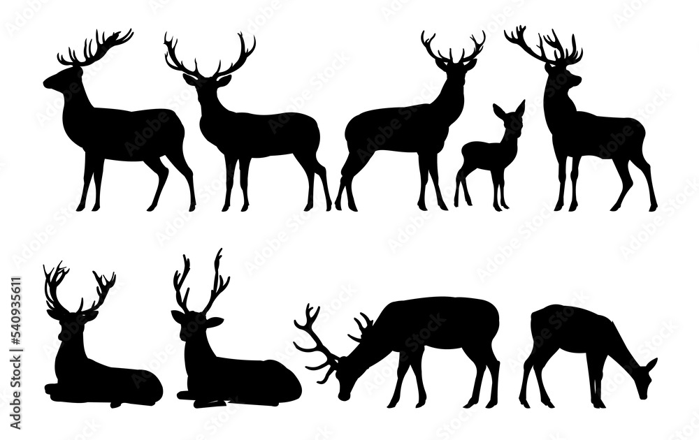 Fototapeta premium Deer silhouette set. Adult dress males and smocks with cubs. Wild animals. Isolated on white background. Vector.