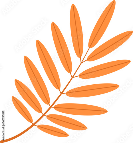 Autumn rowan leaf. Flat vector illustration.