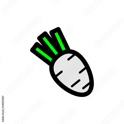 Radish vegetable illustration vector