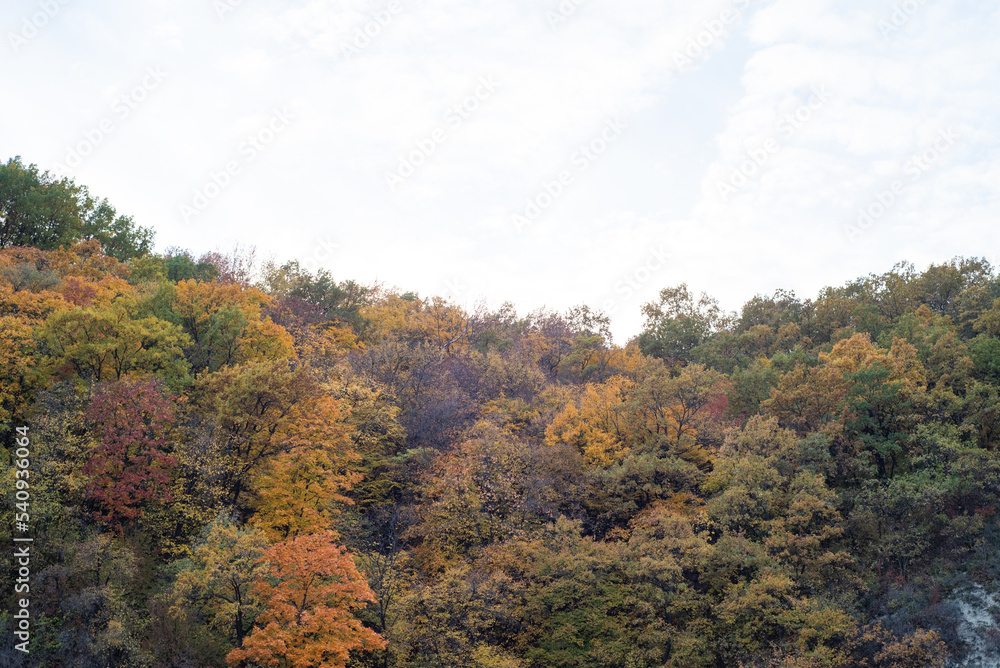 Fjords and cliffs in autumn. Cloudy weather. Mountains and the sea Fjords and cliffs in autumn. Cloudy weather. Mountains and the sea