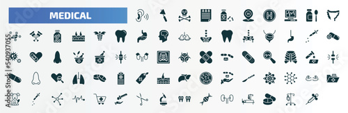 medical filled icons set. flat icons such as ear, pills jar, syrup medicine bottle, dermis, esophagus, x ray of bones, scalpel, canine, acid falling on hand, kidney glyph icons.