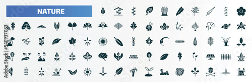 nature filled icons set. flat icons such as poplar leaf  fasciculate  season  ginkgo  planet with satellite  escuamiforme  fertilize clinic  pecan leaf  grains  roses glyph icons.