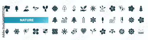 set of 40 filled nature icons. flat icons such as black cherry tree, wedelia, grow plant, balsam fir tree, cypress, iceberg, zinnia, sakura, hypericum, reed glyph icons.