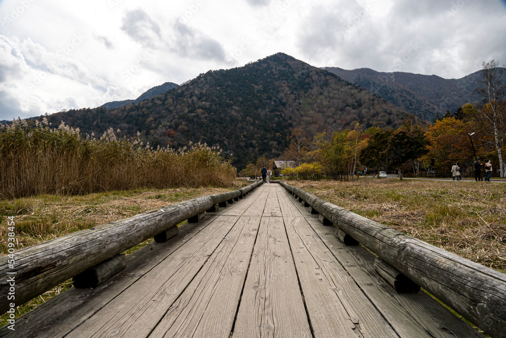 Mountain range Bridge and forest autumn season. Photographer background 