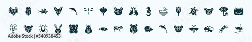 Foto flat filled animals icons set