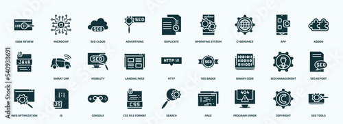 flat filled programming icons set. glyph icons such as code review, advertising, cyberspace, , landing page, binary code, web optimization, css file format, program error, copyright icons.