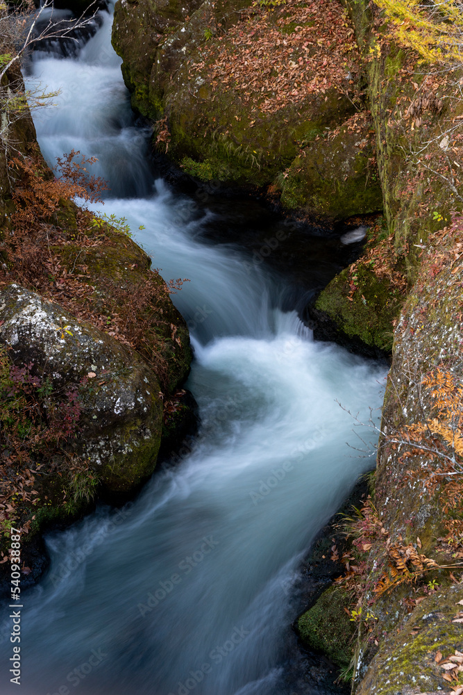 Colorful majestic waterfall in national park forest during autumn nature Photography.Landscape view national nature park Nikko Japan. Beautiful place