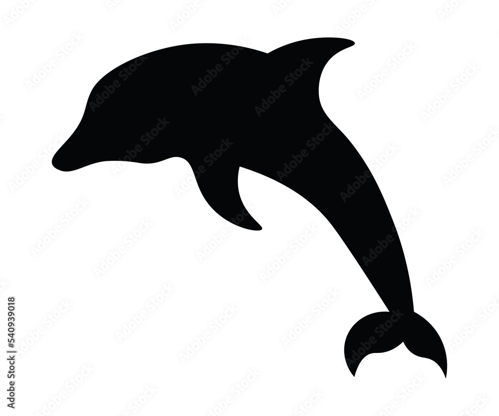 Fototapeta premium dolphin isolated on white background