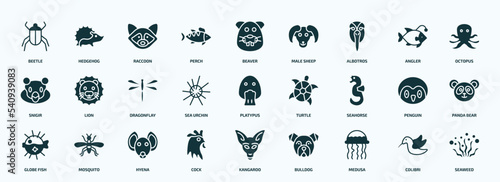 flat filled animals icons set. glyph icons such as beetle, perch, albotros, snigir, sea urchin, seahorse, globe fish, cock, medusa, colibri icons.