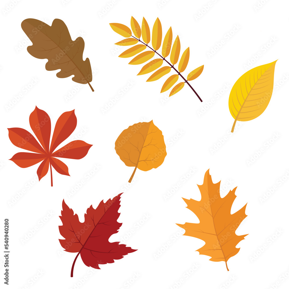 Set of autumn fall leaves vector illustration Set of autumn fall leaves vector illustration