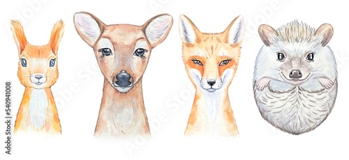 Collection of portraits of watercolor forest animals