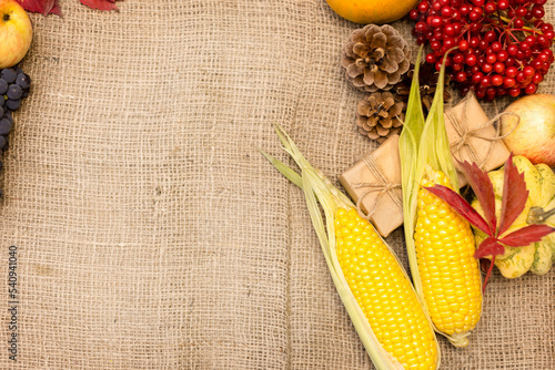 Beautiful background with autumn vegetables, berries and fruits on a burlap background. Autumn background with copy space.