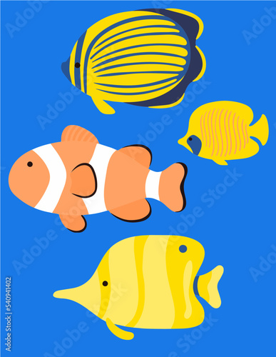 fish in the aquarium