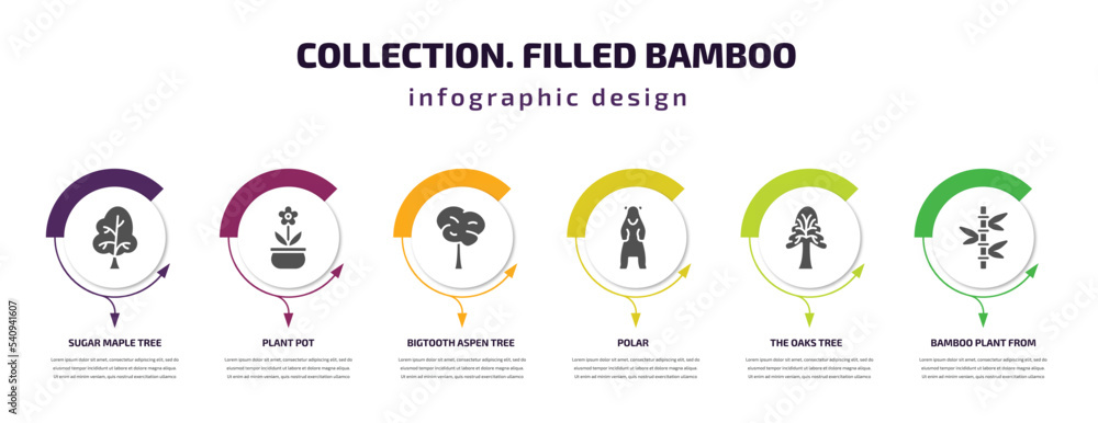 collection. filled bamboo infographic template with icons and 6 step or option. collection. filled bamboo icons such as sugar maple tree, plant pot, bigtooth aspen tree, polar, the oaks tree, bamboo