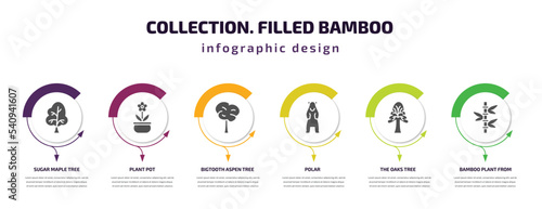 collection. filled bamboo infographic template with icons and 6 step or option. collection. filled bamboo icons such as sugar maple tree, plant pot, bigtooth aspen tree, polar, the oaks tree, bamboo