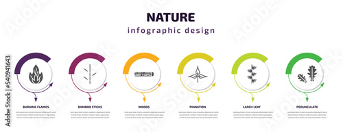 nature infographic template with icons and 6 step or option. nature icons such as burning flames, bamboo sticks, woods, pinnation, larch leaf, pedunculate vector. can be used for banner, info graph,