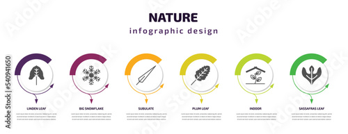 nature infographic template with icons and 6 step or option. nature icons such as linden leaf, big snowflake, subulate, plum leaf, indoor, sassafras leaf vector. can be used for banner, info graph,