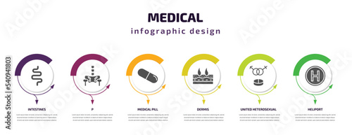 medical infographic template with icons and 6 step or option. medical icons such as intestines, p, medical pill, dermis, united heterosexual, heliport vector. can be used for banner, info graph,