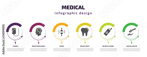 medical infographic template with icons and 6 step or option. medical icons such as plasma, brain in bald male head, femur, molar tooth, tag with a cross, acid falling on hand vector. can be used
