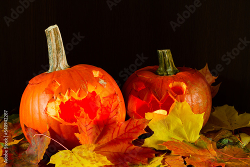 two pumpkins standing among colourfull leaves