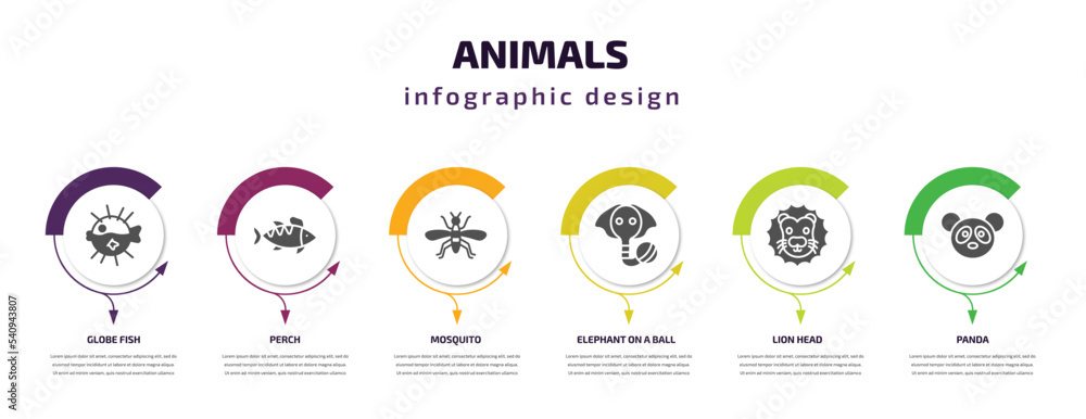 animals infographic template with icons and 6 step or option. animals icons such as globe fish, perch, mosquito, elephant on a ball, lion head, panda vector. can be used for banner, info graph, web,