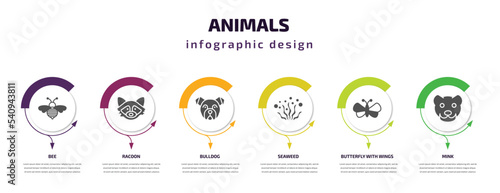animals infographic template with icons and 6 step or option. animals icons such as bee, racoon, bulldog, seaweed, butterfly with wings, mink vector. can be used for banner, info graph, web,