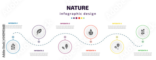 nature infographic element with icons and 6 step or option. nature icons such as american mountain ash, natural energy, pedunculate, burning flames, obovate, bilberry leaf vector. can be used for