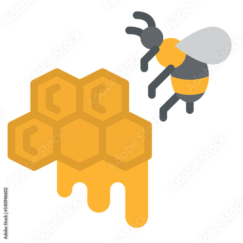 honeycomb beekeeping