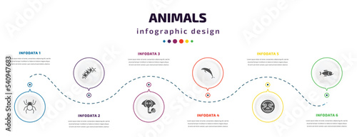 Foto animals infographic element with icons and 6 step or option