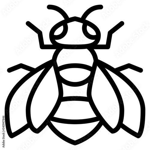 bee animal beekeeping