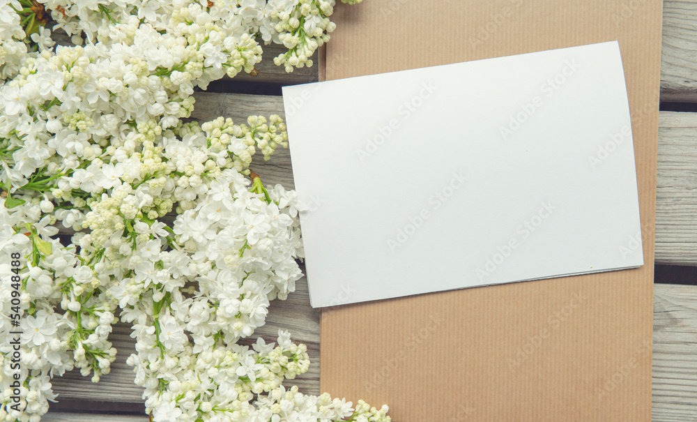 White paper card with closeup white lilac flowers White paper card with closeup white lilac flowers