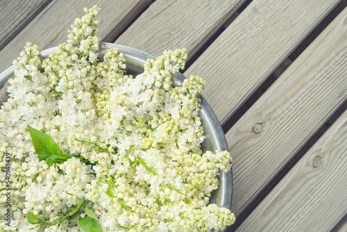 Wallpaper Mural White lilac bowl on a wooden backdrop Torontodigital.ca