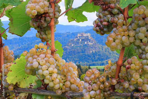 Burg Hochosterwitz vom Weingut Taggenbrunn aus gesehen