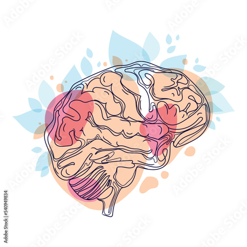 Human brain Minimal art line drawing vector illustration.Brain with colored abstract shapes and plants,leaves Modern creative thinking concept design.Anatomical human organ isolated on white 