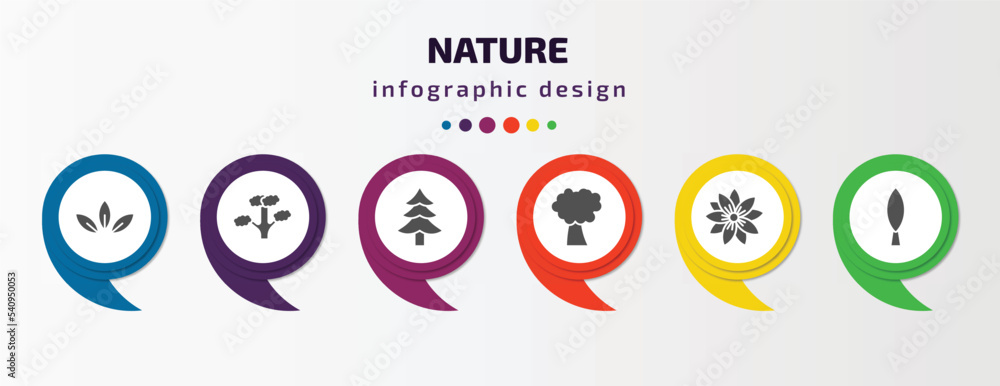 nature infographic template with icons and 6 step or option. nature icons such as acicular, slippery elm tree, cedar, pin cherry tree, hypericum, cypress vector. can be used for banner, info graph, nature infographic template with icons and 6 step or option. nature icons such as acicular, slippery elm tree, cedar, pin cherry tree, hypericum, cypress vector. can be used for banner, info graph,