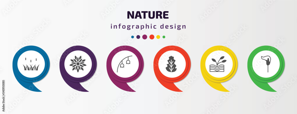 nature infographic template with icons and 6 step or option. nature icons such as reed, gerbera, bluebell, peppermint, plant growing on book, lily vector. can be used for banner, info graph, web, nature infographic template with icons and 6 step or option. nature icons such as reed, gerbera, bluebell, peppermint, plant growing on book, lily vector. can be used for banner, info graph, web,