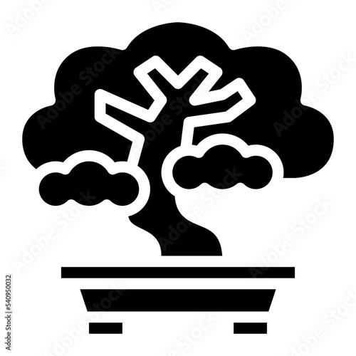bonsai japanese plant