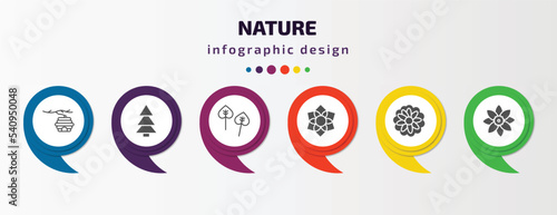 nature infographic template with icons and 6 step or option. nature icons such as hive, red pine tree, poplar, clematis, astrantia, jonquil vector. can be used for banner, info graph, web,