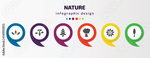 nature infographic template with icons and 6 step or option. nature icons such as acicular, slippery elm tree, cedar, pin cherry tree, hypericum, cypress vector. can be used for banner, info graph,
