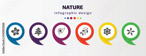 nature infographic template with icons and 6 step or option. nature icons such as sakura, balsam fir tree, dandelion, hawthorn, daffodil, neroli vector. can be used for banner, info graph, web,