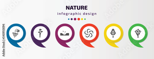 nature infographic template with icons and 6 step or option. nature icons such as grapevine, quaking aspen tree, sow, whirlpool, tree with big foliage, flower bouquet vector. can be used for banner,