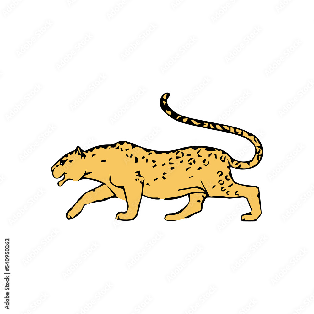 Fototapeta premium cheetah vector illustration isolated on white background