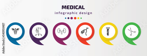 medical infographic template with icons and 6 step or option. medical icons such as caduceus, perfusion, kidney, gallbladder, blood sample, opened medical scissors vector. can be used for banner,
