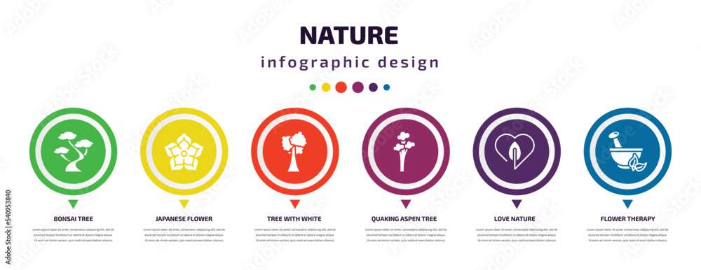 nature infographic element with icons and 6 step or option. nature icons such as bonsai tree, japanese flower, tree with white foliage, quaking aspen tree, love nature, flower therapy vector. can be