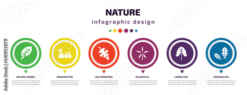 nature infographic element with icons and 6 step or option. nature icons such as natural energy, mountain pse, leaf monstera, palmatelly, linden leaf, pedunculate vector. can be used for banner,