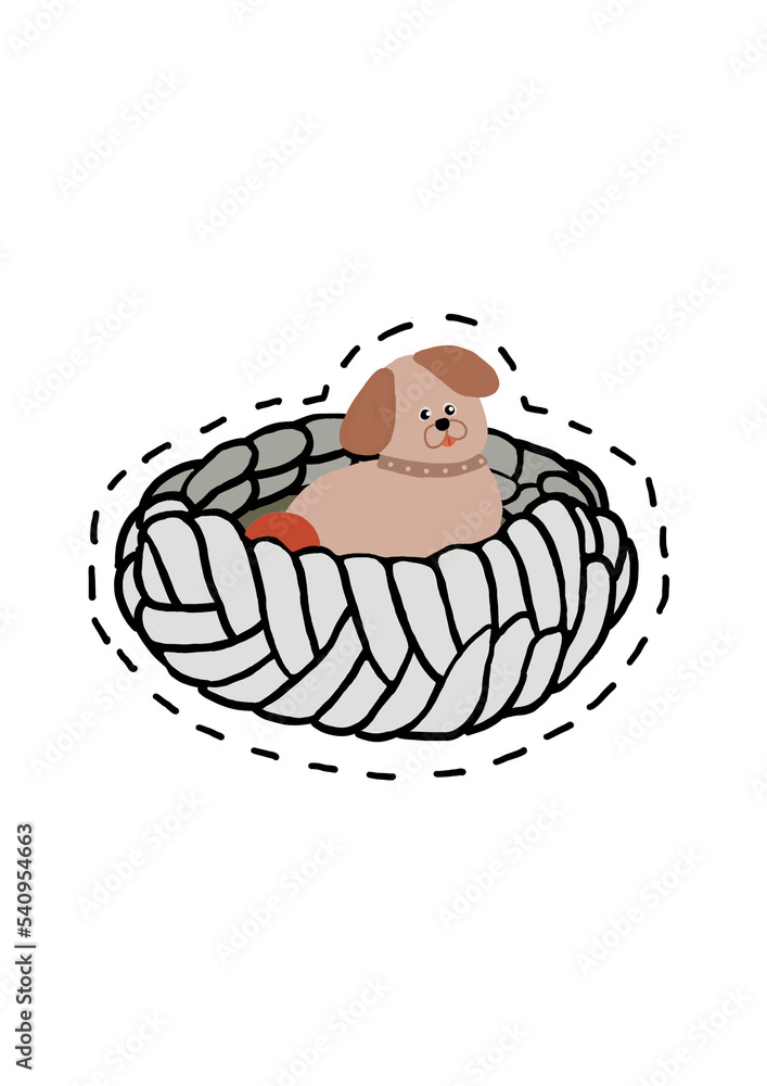 Obraz premium Dog Bed