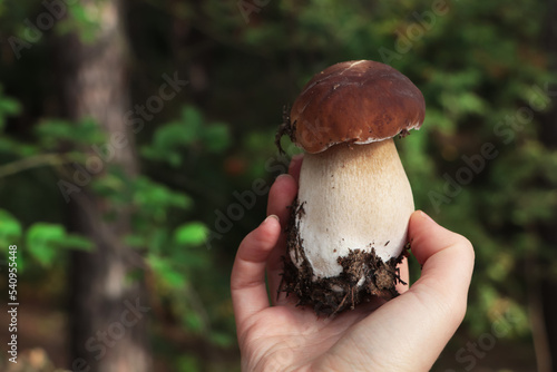 Woman holding porcini mushroom in forest, closeup. Space for text