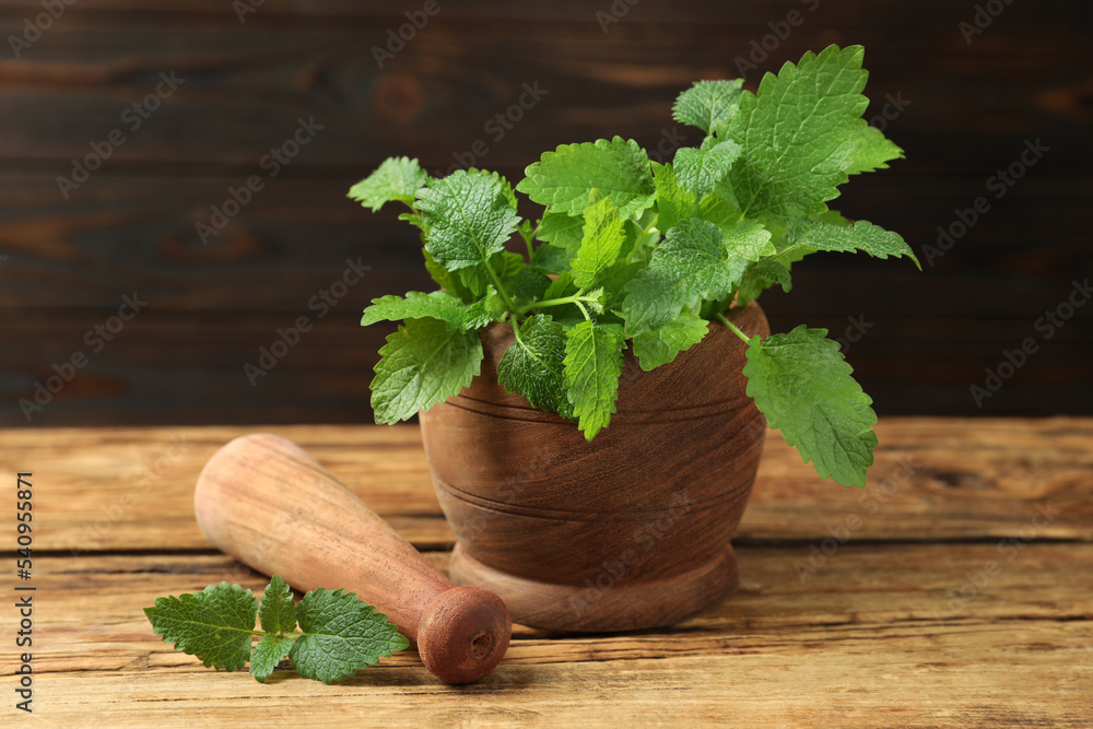 Mortar with pestle and fresh green lemon balm leaves on wooden, closeup