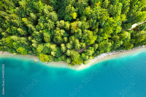 Coastline of the lake with tall coniferous trees and turquoise water, top view
